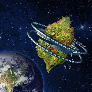 Too Hyda Care - Orbiting Cannabis