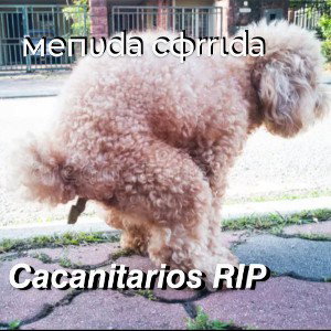  - Menuda Corrida 