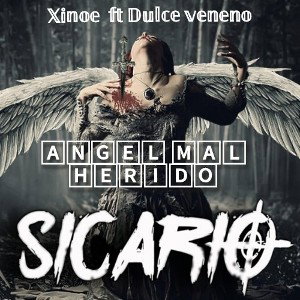 Angel Mal Herido