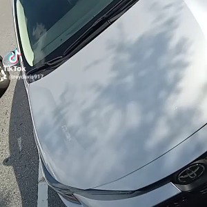 Rental