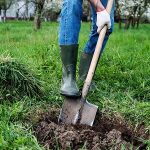 Dig A Hole For Ya