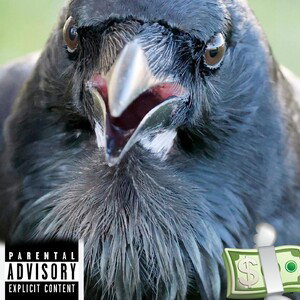 Crows 
