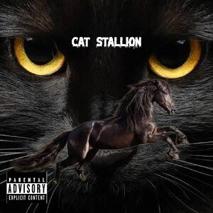 Cat Stallion 