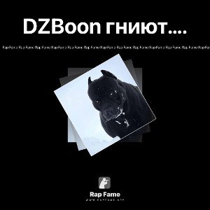DZBoon гниют….