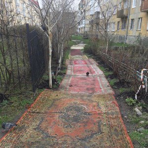 о чем ты голова говоришь 