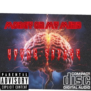 Money on my mind~¥oUnG $avag€