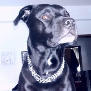 BOSSMAC ON THAAA MIIIIIIC....!!!