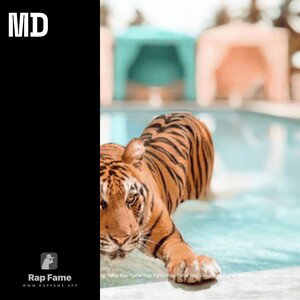 MD (original version of songs)