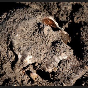 MASS GRAVE