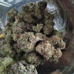 poison