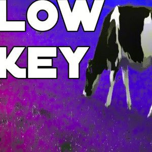 LowKey&Free