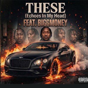 These Echoes In My Head- (OC)Bigg Money