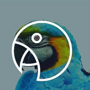 Paix-Blubberblasen 
