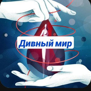 SkyLikkeeEE - Дивный мир