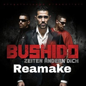 Bushido Cover ZäD