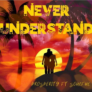 Prosperity Ft Soulful - Never Understand 