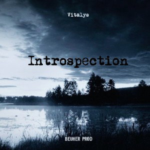 Introspection 