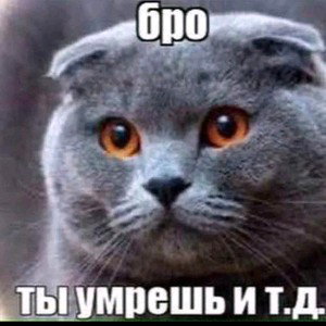 Эквилибриум (ft. hellwa, Эсперанто, Неправильный)