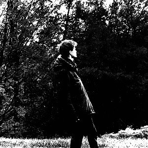 dead forest 2023 sh