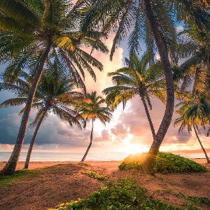 Kasul - Live in Paradise