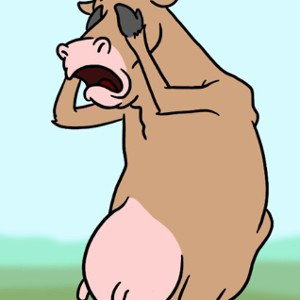 mooo who?