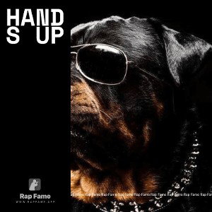 Hands up 