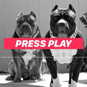 Press PlAy
