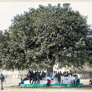 करे शरारत लम्हा लम्हा