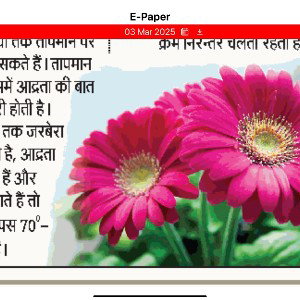 ज़रा सी बात थी