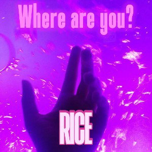 RICE-Where are you?