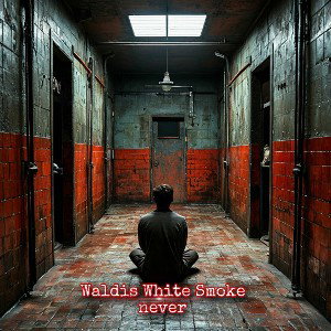 Waldis White Smoke - never
