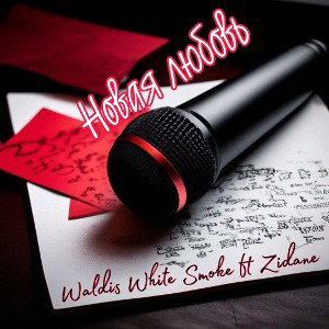 Waldis White Smoke ft. ZiDaNe - Новая любовь