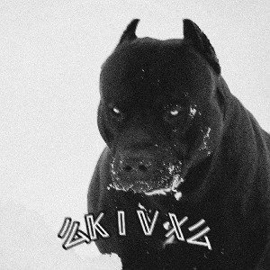 么𝕂 𝕀 𝕍 𝕏么 - колонния