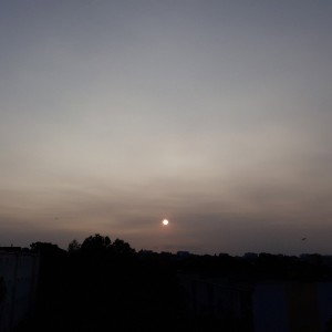 суть POD113NKO 
