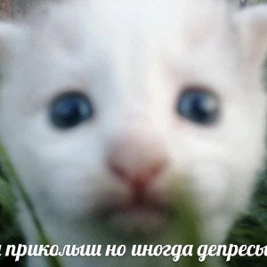 Inosa-не новичок 
