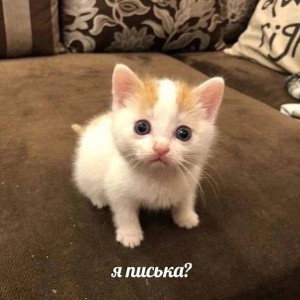 inosa-Зима