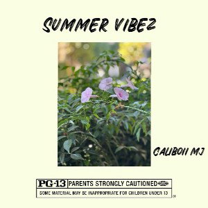 Summer Vibez