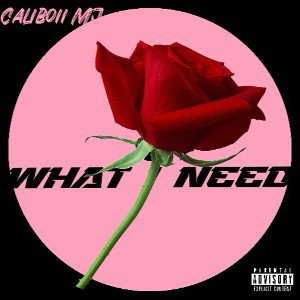 WHAT I NEED 