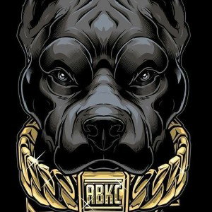 pitbull