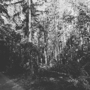 Leben-der Horrorfilm! 