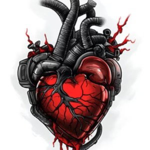 Heartbeat 