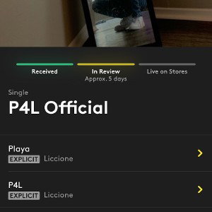 P4L 2