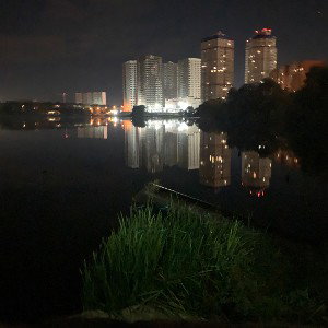 Огни большого города 