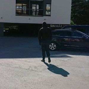mc_sancheZ - in ass yes