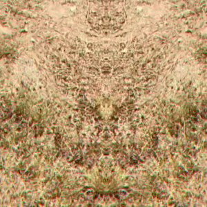 Tearless Woe