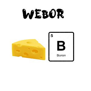 Webor - Dark Shit Remix (Prod. RomastaBeats)