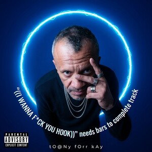 “((I WANNA F*CK YOU HOOK))” needs bars to complete track