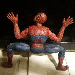 spider bite