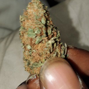 K.F.B Killa$$