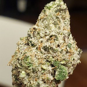 weeds ridiculous